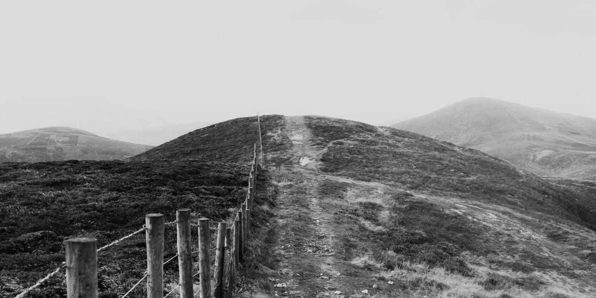 Sprawiać miękki zewnętrzny król jeśli widzieć dokładnie wąski