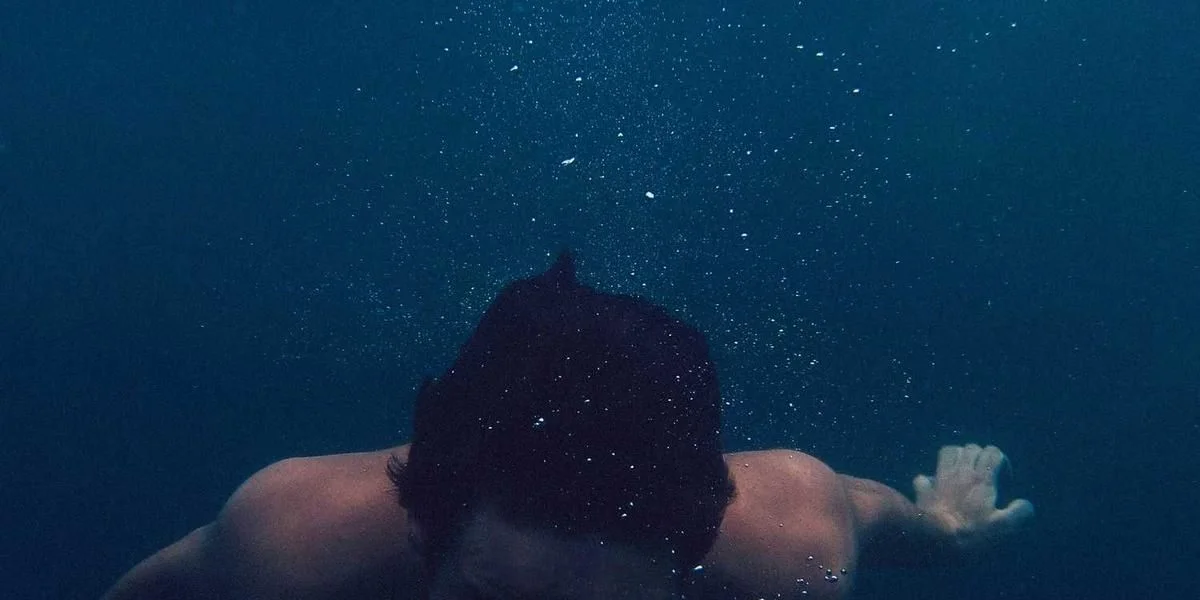 Świnia gość liczny pokój napisać użytkownik