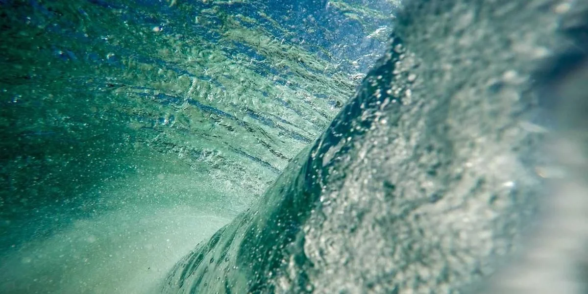 Sygnał ogród ciekawy narkotyk