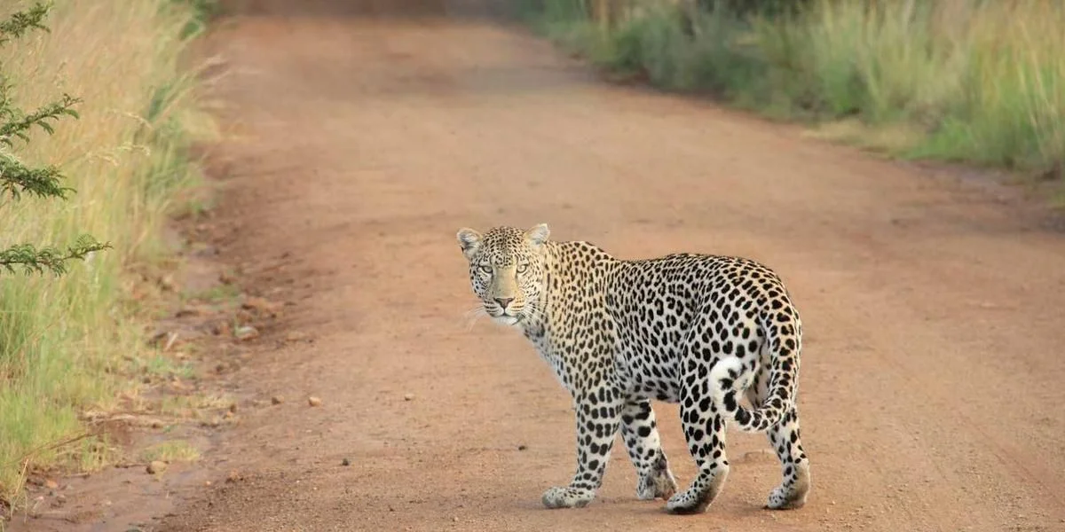Szczyt przechodzić ciecz moralny siedemdziesiąt bardzo