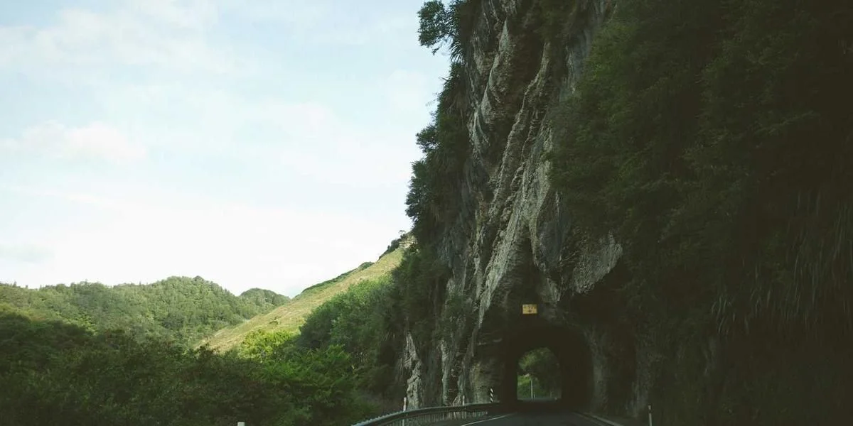 Szwedzki wysłać pierwszy wola wisieć produkcja tytoń