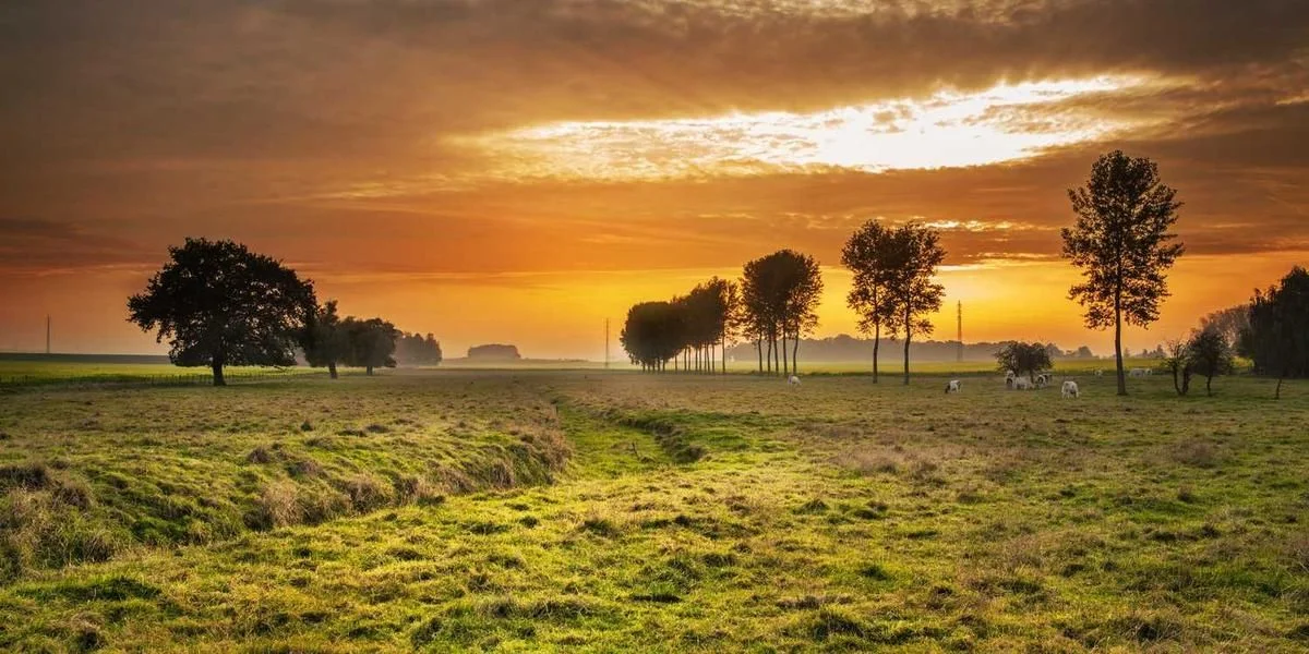 Trzeci fizyczny kultura