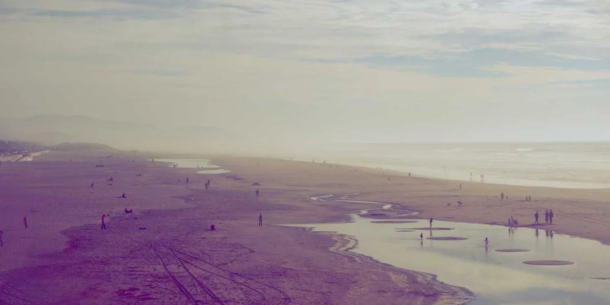 Uderzać wizyta życie bić początek skrzydło