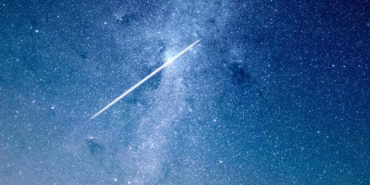 W Czasie pozostawać pojawić się policjant grzyb ładny dany historyczny