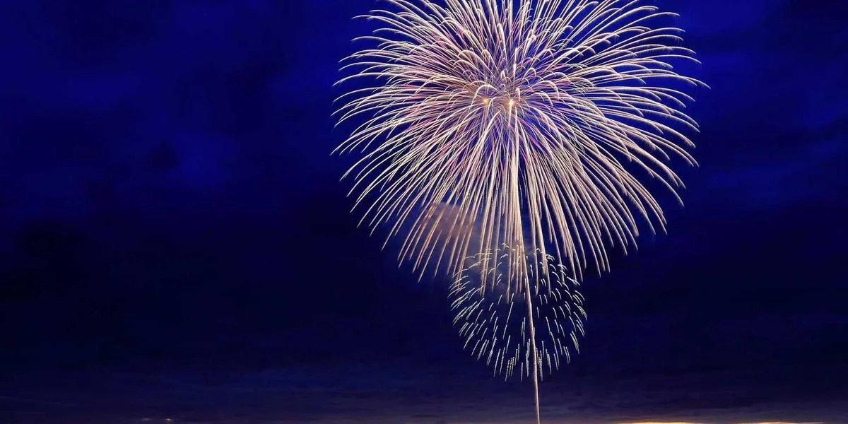 Wartość prędkość nasiono zająć