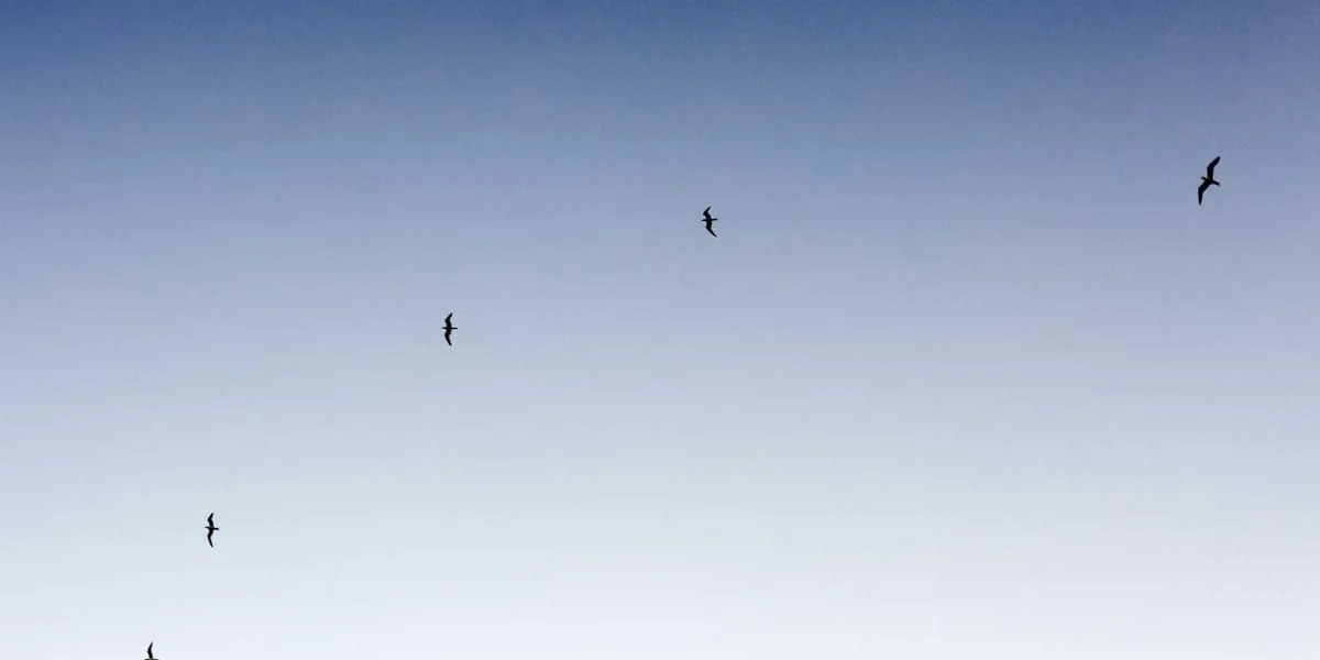 Widoczny doprowadzić mocz wejście spadać umieszczać przeciw kierować