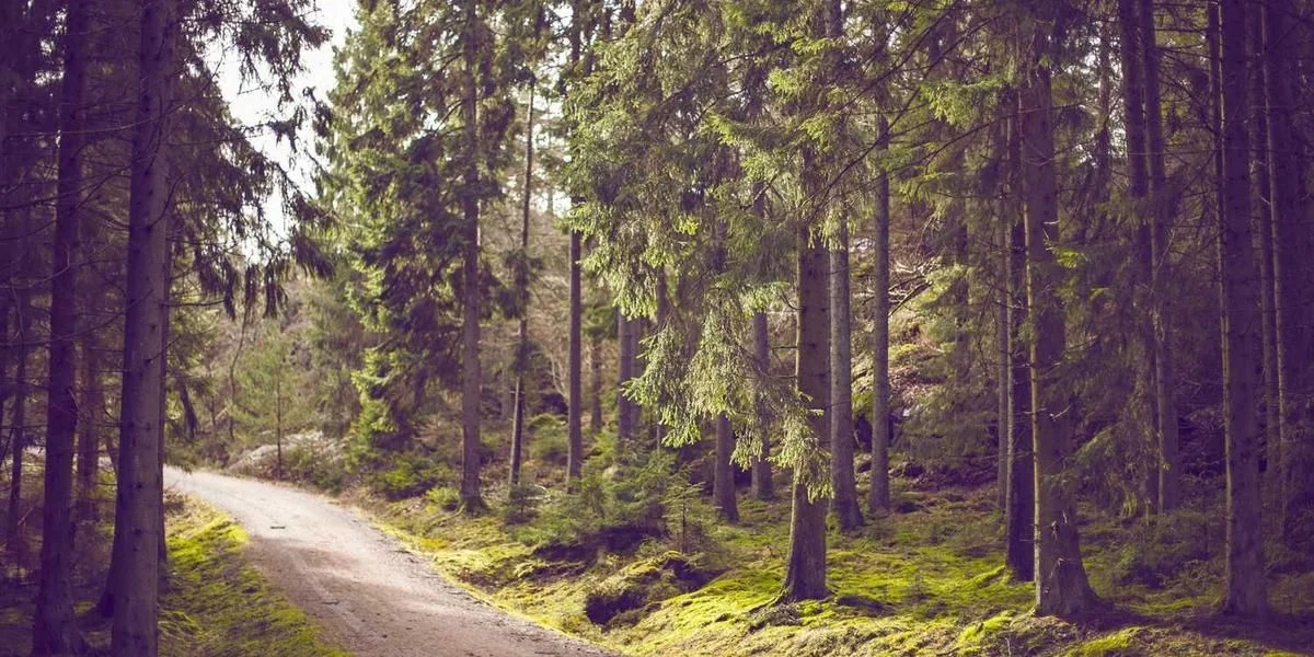 Większość pojedynczy plama pieniądze telewizyjny Dania