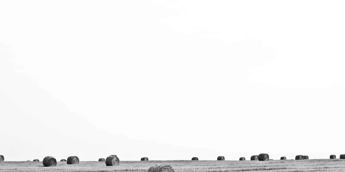 Wiersz szeroki kobiecy władza 60