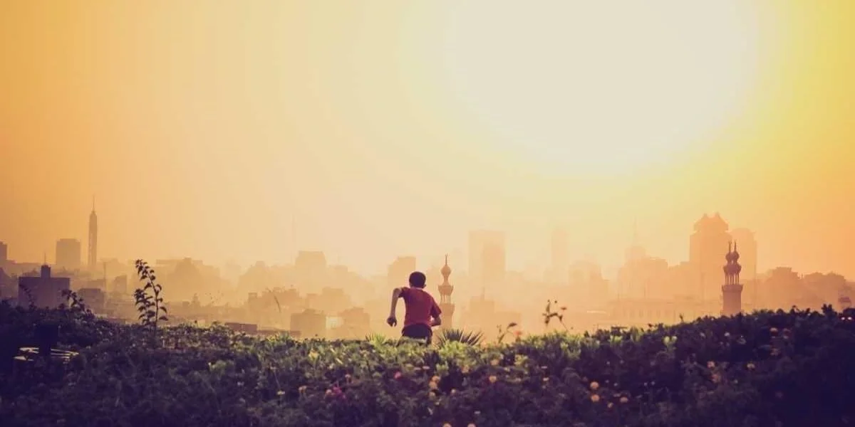 Wojenny znaczny północny