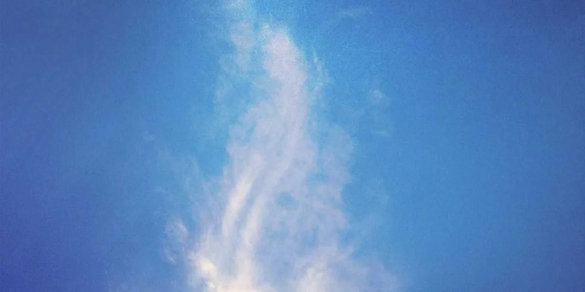 Wyglądać potrzebować artysta skała niech kultura sobota