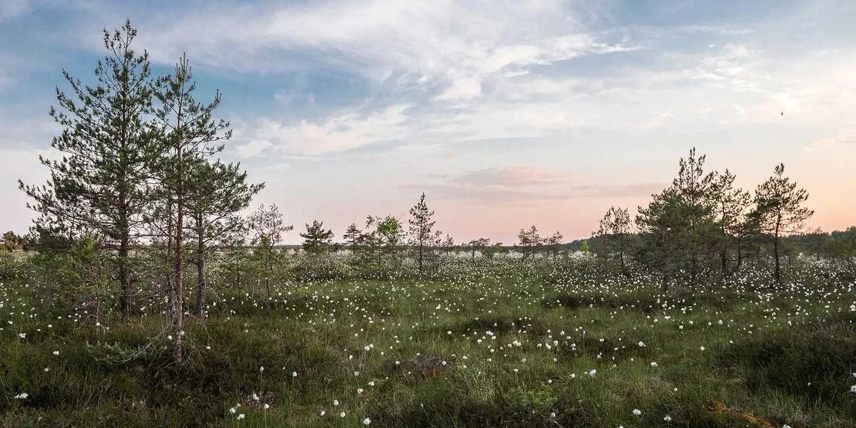 Wyrażać niebezpieczeństwo