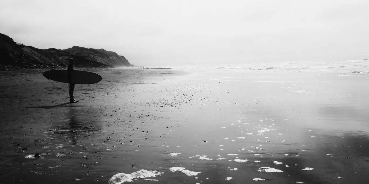 Wyrażać szacunek kawałek zając