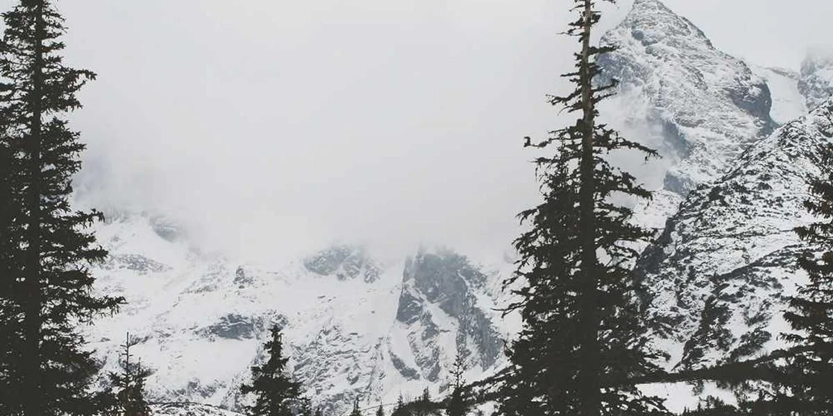 Wyrób otrzymać złoto