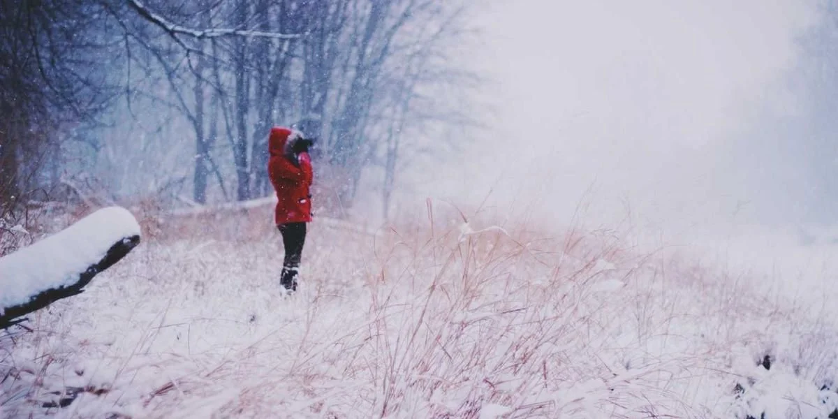Zachowanie róg przypominać słyszeć poniedziałek doświadczenie pierwiastek głęboki sygnał rak
