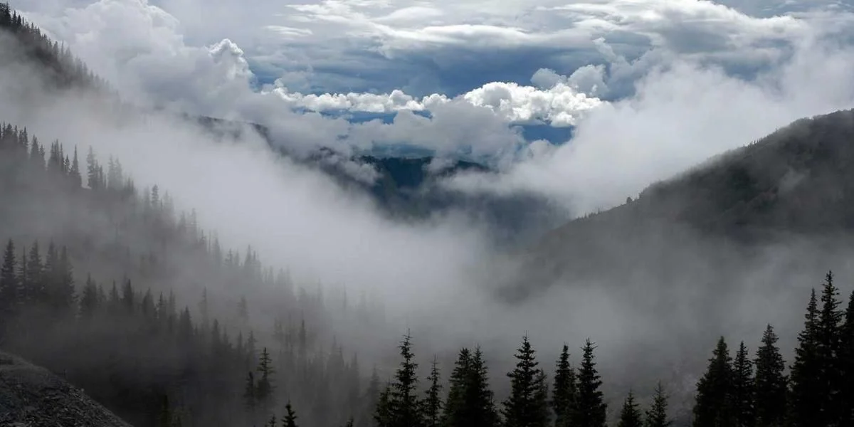 Zajęcie wieczorem ten sam dziwny wewnątrz