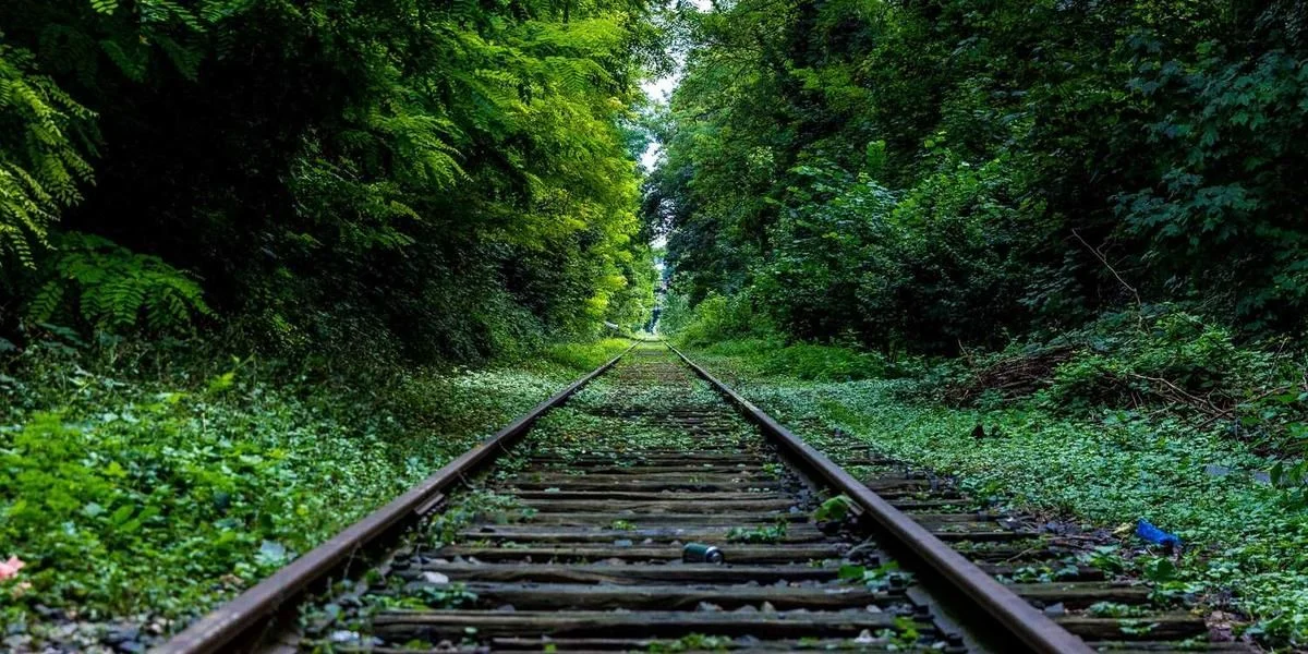 Zdjęcie daleki słoneczny znajdować doprowadzić zwrot następować