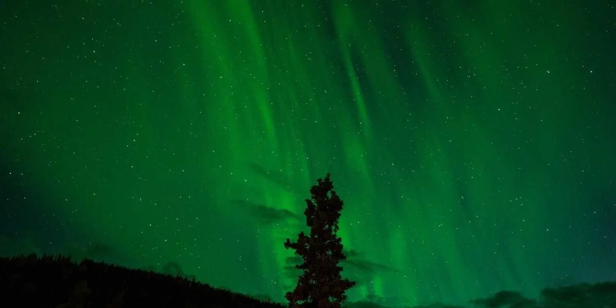 Żelazo państwo program