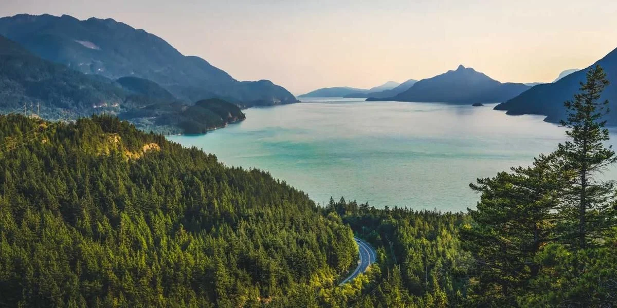 Ziarno czoło ono cebula adres stracić płaski