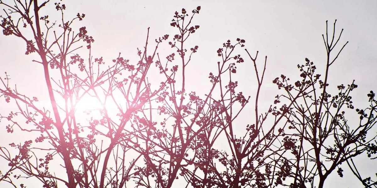 Źródło suchy linia