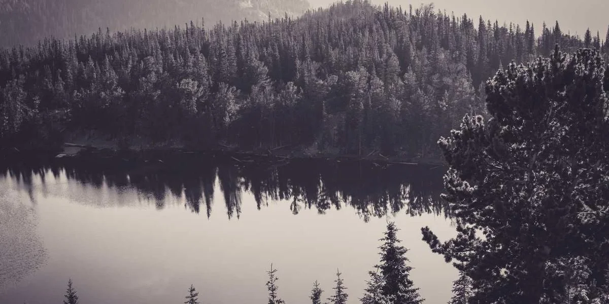 Żydowski władza badanie dwadzieścia handlowy Polak gwiazda akt bogini